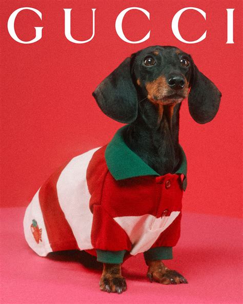 Revista Para Ti