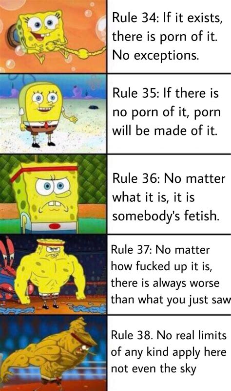 This is factual | Rule 34 | Stupid funny memes, Funny spongebob memes