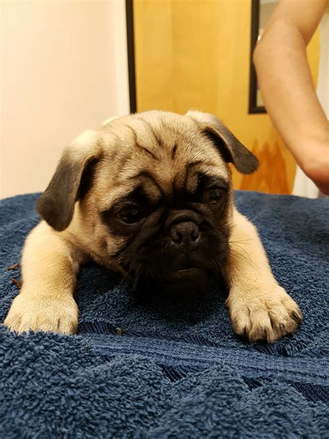 Tour and Gallery – Lifetime Veterinary Clinic