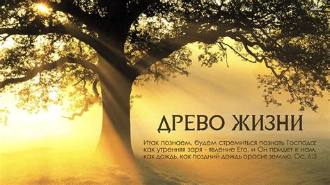 Древо жизни — Храм Христа Спасителя
