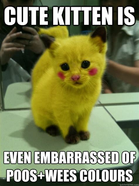 Cute kitten is even embarrassed of Poos+Wees colours - Cheer up - quickmeme