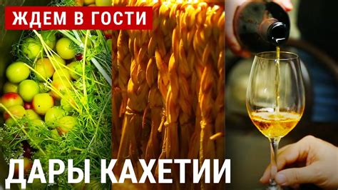 Винный маршрут Кахетии | ЖДЁМ В ГОСТИ - YouTube