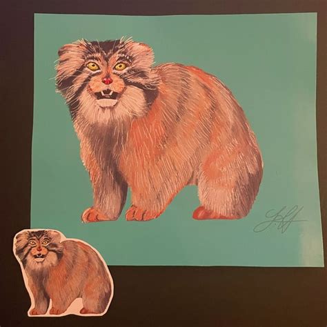Pallas Cat - Etsy
