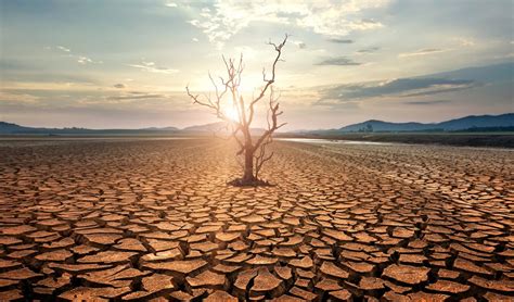 Relacione A Seca A Algum Aspecto Da Crise Climática - Emergência climática: "Mundo está indo na direção errada", alertam ...