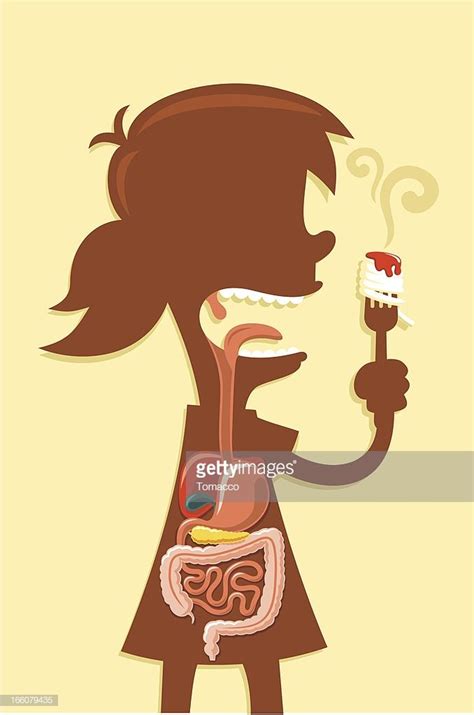 Digestive System Cartoon