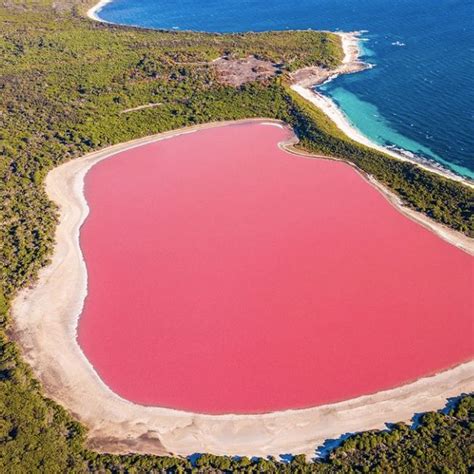 Pink Saltwater lakes or Sea! | Curious Times