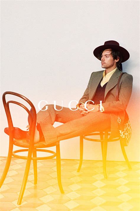 harry styles stars  guccis ha ha ha collection ad campaign tom