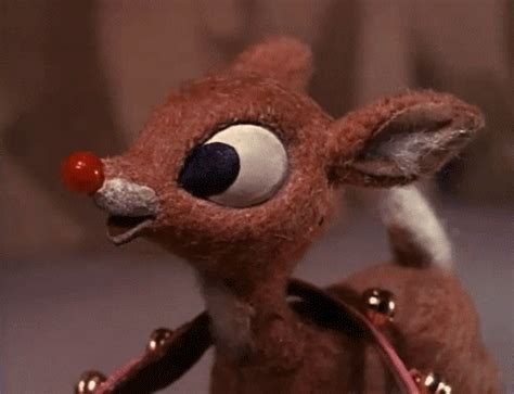 Reindeer-cam GIFs - Get the best GIF on GIPHY