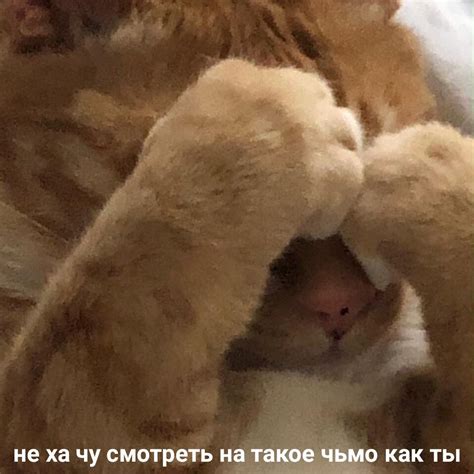 яичная шелуха (@mirrorwaves_) | Twitter