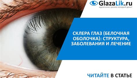 Склера глаз (белочная оболочка): структура, заболевания и лечение