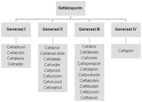 Sefalosporin ~ Val Rein's blog