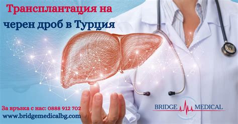 Трансплантация на черен дроб | Bridge Medical