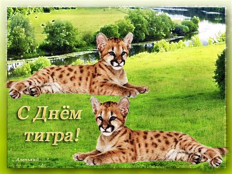 Анимированная открытка С днем тигра!