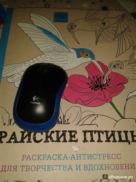 Книга: Райские птицы. Раскраска-антистресс для творчества и вдохновения ...