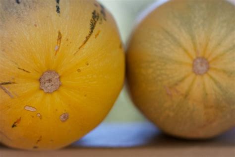 Безплатна снимка : растение, цвете, храна, продукция, зеленчук, флора ...