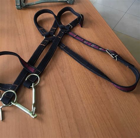 Упряж для коней широкій вибір, шлея, хомут, вуздечка, посторонки: 2 792 ...