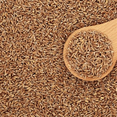 Easy Farro Recipe from Marsh Hen Mill - Seasonal Roots