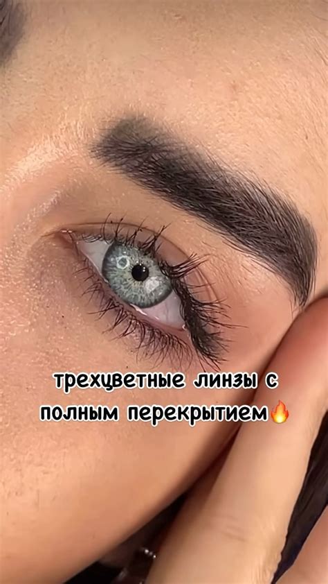 ЦВЕТНЫЕ ЛИНЗЫ|COLOR LENSES СПБ|РОССИЯ (@colorpremium_lenses ...