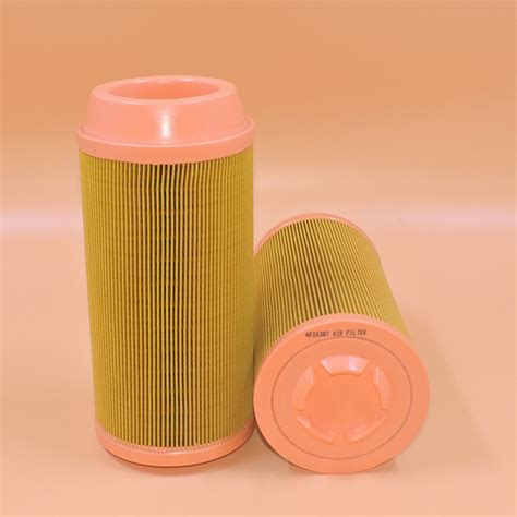 Fleetguard Air Filter AF26387 RS3990 P778979 6.3528.0 K3181-82240 ...