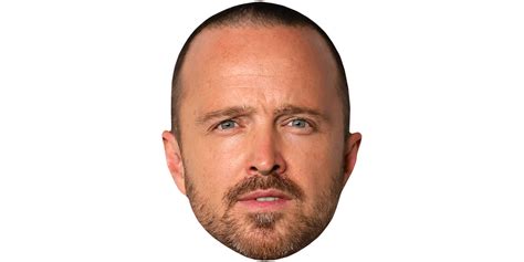 Aaron Paul (Short Hair) Mask - Celebrity Cutouts