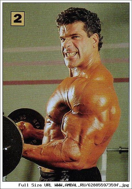 Лу Ферриньо (Lou Ferrigno), фотографии, биография, соревнования ...