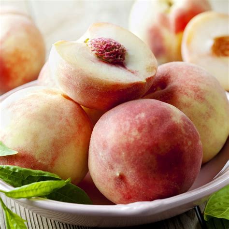 babcock peach tree 1
