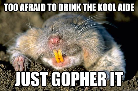 Just gopher it memes | quickmeme