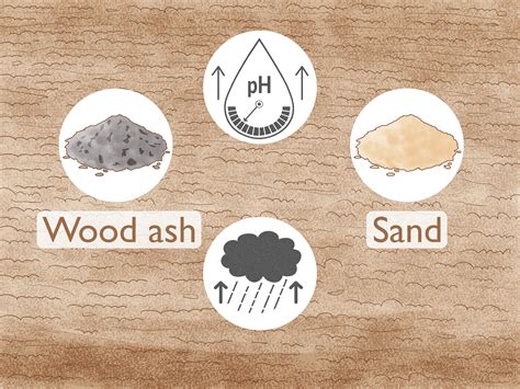 How to Adjust Soil pH: Raising & Lowering pH Levels