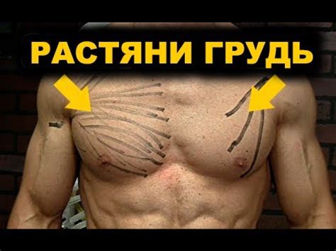 КАК РАСТЯНУТЬ ГРУДЬ? (РАСТЯЖЕНИЕ ГРУДНОЙ МЫШЦЫ) - YouTube