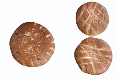 bakarkhani  piece madhubani id