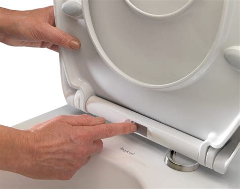 dismantle  soft close toilet seat toilet surgery
