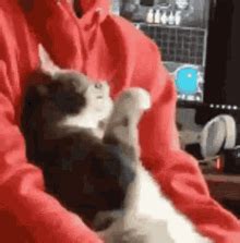 Shock Tennis GIF - Shock Tennis - Discover & Share GIFs