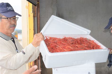 Hokkaido Sushi Making Private Tour: Fresh from the Port - Klook Singapore