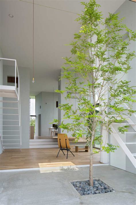 Great ideas to use Trees for The Interior of Your Home - Ecotek Green ...