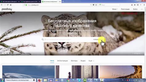 Картинки для сайта бесплатно по темам, бесплатный фотосток Pixabay ...