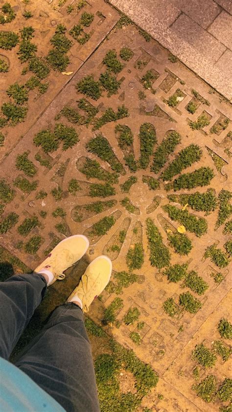 by viki_kiki on aesthetics around | Outdoor decor, Outdoor, Aesthetic