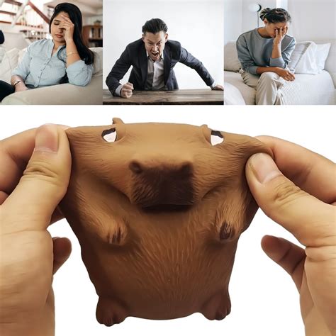 Simulation Capybara Stress Ball,Stress Relief Australia | Ubuy