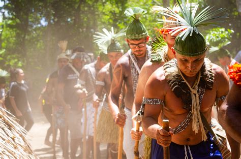 Resistência e cultura: conheça os povos indígenas que vivem no Agreste ...
