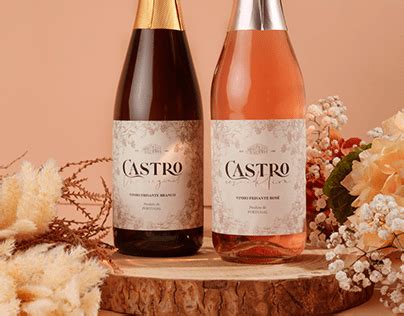 Castro Projects | Photos, videos, logos, illustrations and branding on ...