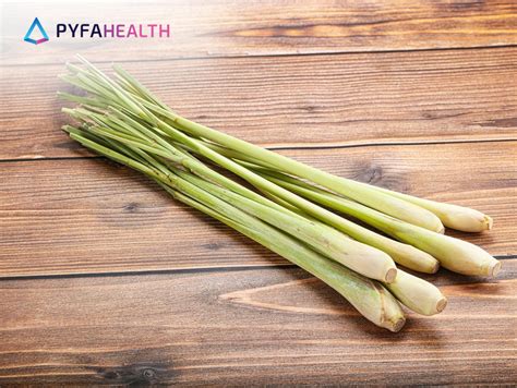 manfaat sereh  kesehatan  hidup sehari hari