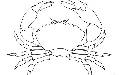 Crab Outline Drawing at GetDrawings | Free download