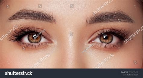 Female Eye Extreme Long False Eyelashes Stock Photo 2224977439 ...