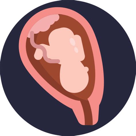 womb generic circular icon