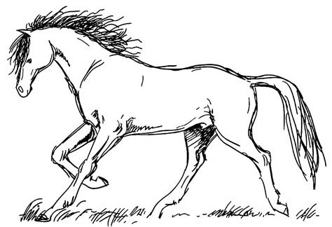 Desenhos para colorir de Cavalos | Como fazer em casa