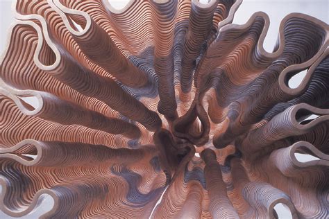 CAUDEX / Boise Art Museum, ID. — John Grade Studio