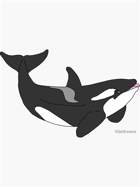 "Morgan Orca Cartoon" Sticker for Sale by tidaldreams | Redbubble