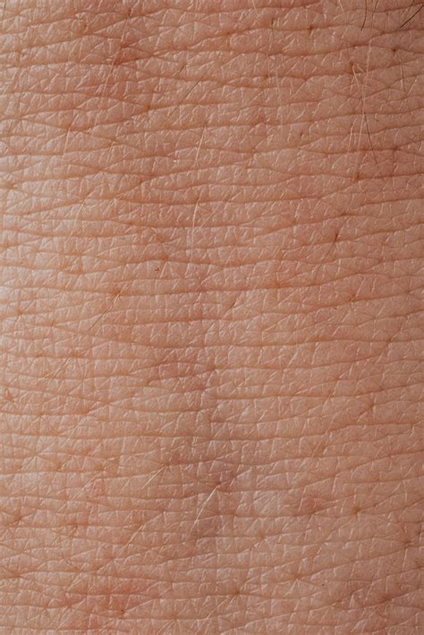 Human Body Measurements Photos, Download The BEST Free Human Body ...