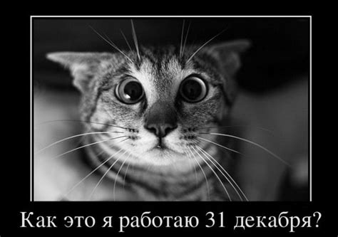 Самые смешные демотиваторы