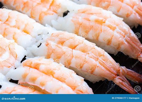 ebi nigiri sushi  sushi shrimp  japanese traditional food stock