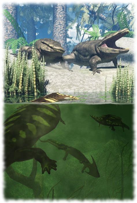 Diplocaulus by Elperdido1965 on DeviantArt